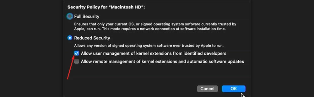 allow kernel extensions apple silicon