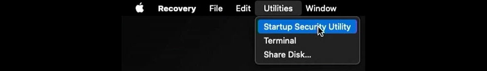 enter startup security utility