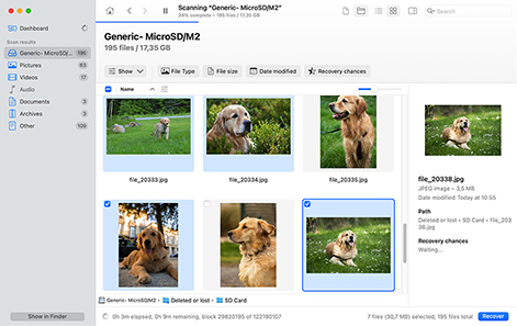 Preview and choose files for recovery