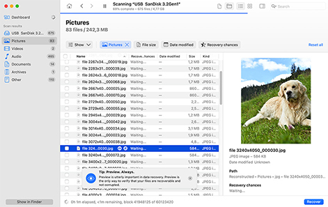 Preview the Recoverable Files