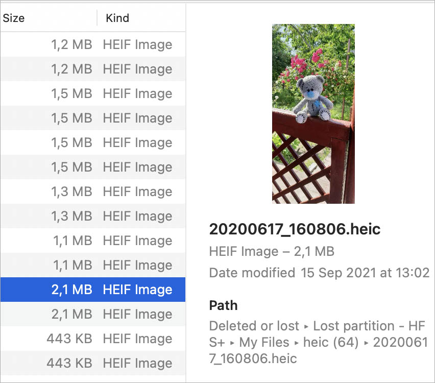 preview window disk drill macos