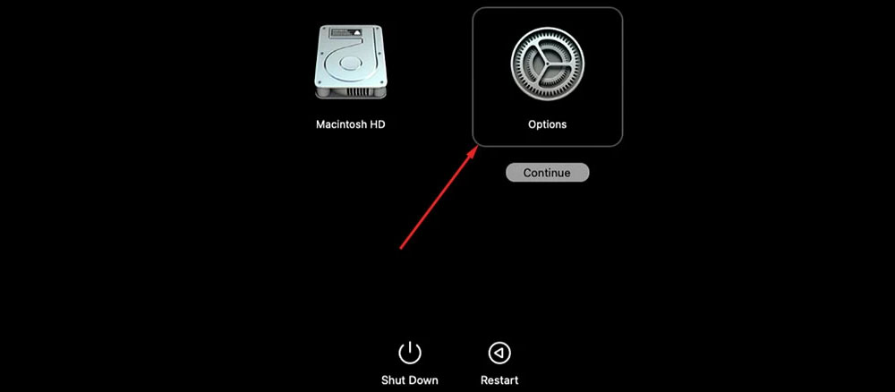 reboot apple silicon in recovery mode