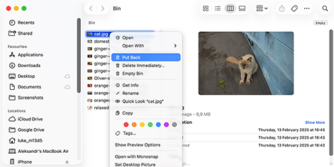 Recover Deleted Files on Mac from Trash via the "Put Back" Option
