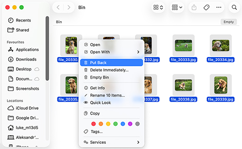 Recover from your Mac’s Trash