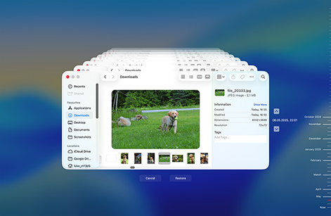 Recover with a Time Machine backup