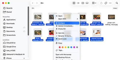 Restore Deleted Files on a Mac from the Trash