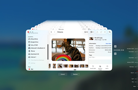 Restore from a Time Machine Backup