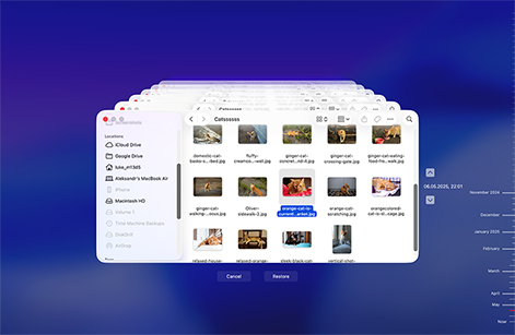 Restore Lost Files via Time Machine Backup