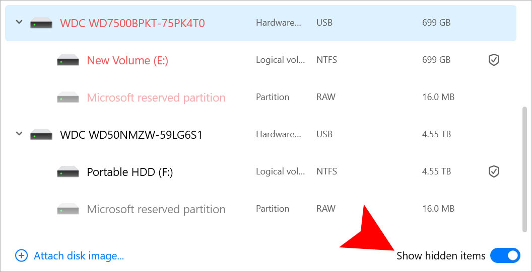 show hidden items disk drill windows