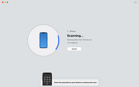 Start the Scan and Enter Your Passcode
